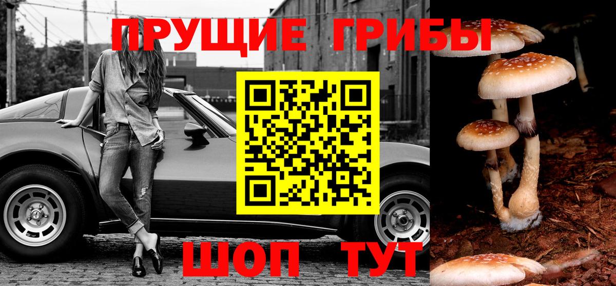 Галлюциногенные грибы Magic Shrooms  Галлюциногенные грибы Psilocybe  Вход с VPN  Королёв 